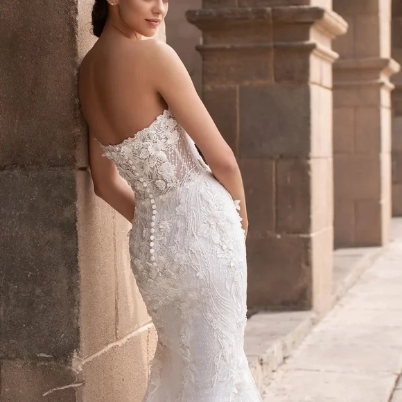 Pronovias Aethra Wedding Dress
